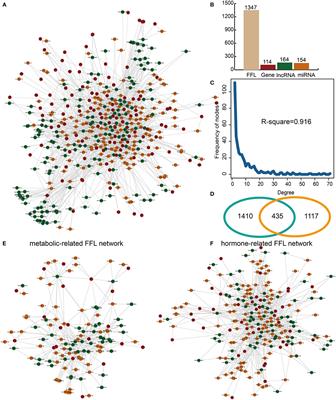 Construction of Glycometabolism- and Hormone-Related lncRNA-Mediated Feedforward Loop Networks Reveals Global Patterns of lncRNAs and Drug Repurposing in Gestational Diabetes